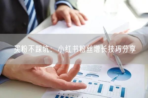 买粉不踩坑：小红书粉丝增长技巧分享