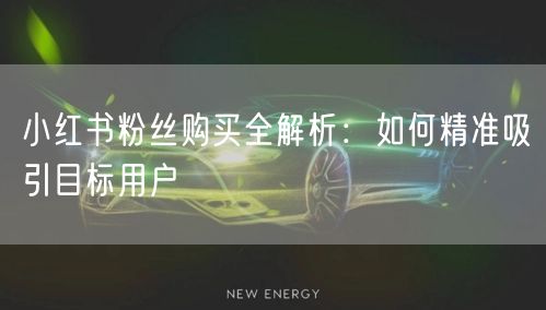 小红书粉丝购买全解析：如何精准吸引目标用户