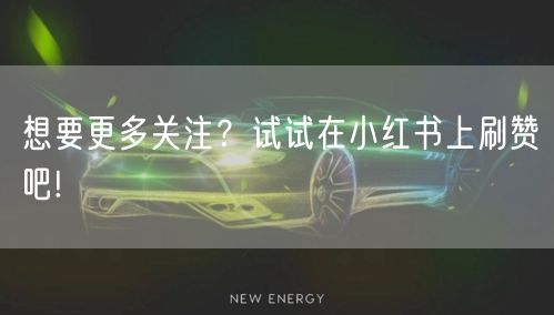 想要更多关注？试试在小红书上刷赞吧!