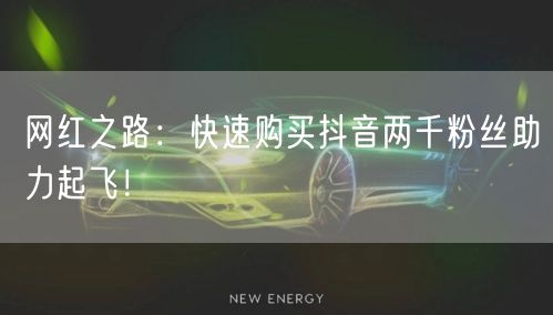 网红之路：快速购买抖音两千粉丝助力起飞！