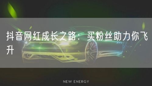 抖音网红成长之路：买粉丝助力你飞升