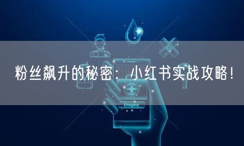 粉丝飙升的秘密：小红书实战攻略！