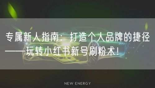 专属新人指南：打造个人品牌的捷径——玩转小红书新号刷粉术！