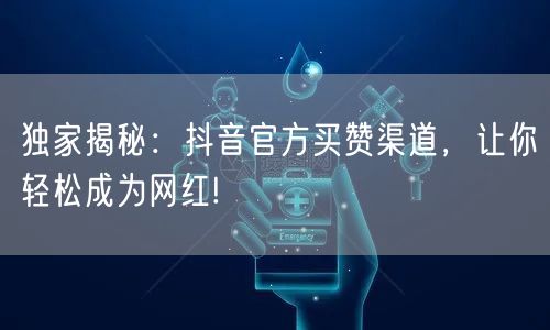 独家揭秘：抖音官方买赞渠道，让你轻松成为网红!