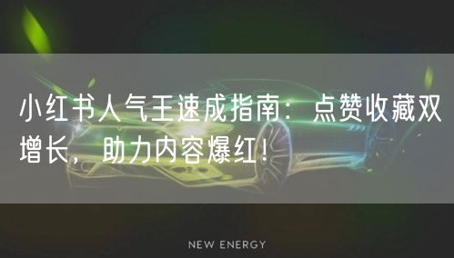 小红书人气王速成指南：点赞收藏双增长，助力内容爆红！