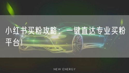 小红书买粉攻略：一键直达专业买粉平台！