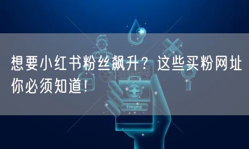 想要小红书粉丝飙升？这些买粉网址你必须知道！