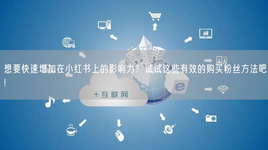 想要快速增加在小红书上的影响力？试试这些有效的购买粉丝方法吧!