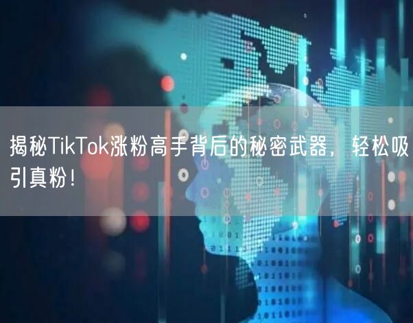 揭秘TikTok涨粉高手背后的秘密武器，轻松吸引真粉！